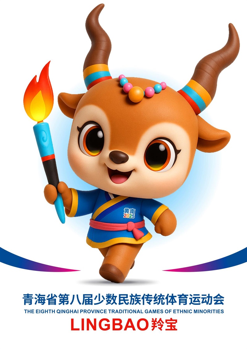 AA, 与往届相比
