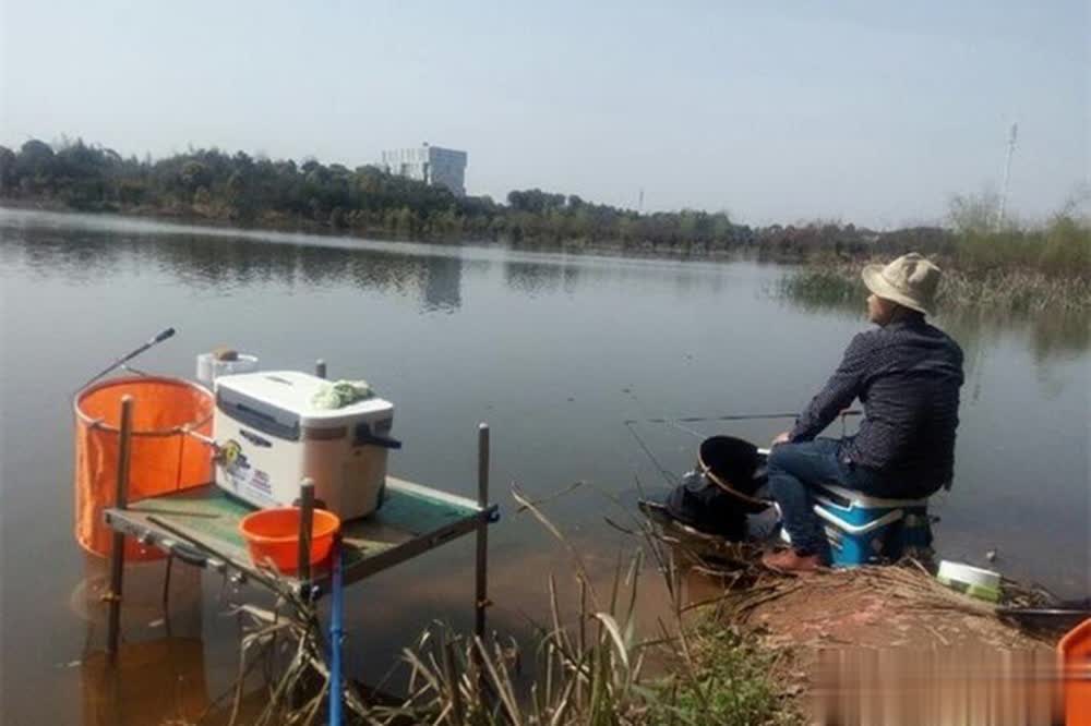 原则, 也是典型的, tenan